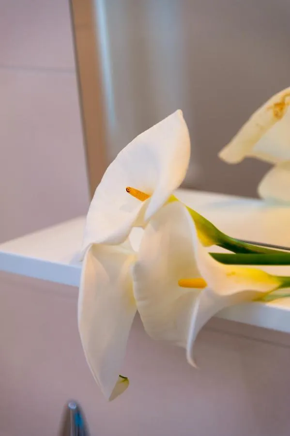 Apartmán Villa Rozac Trogir